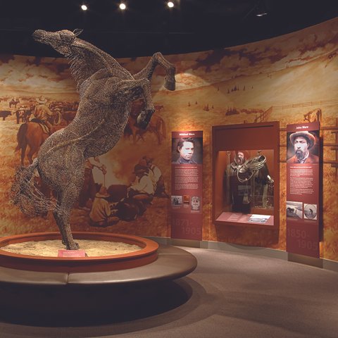 Mavericks Gallery